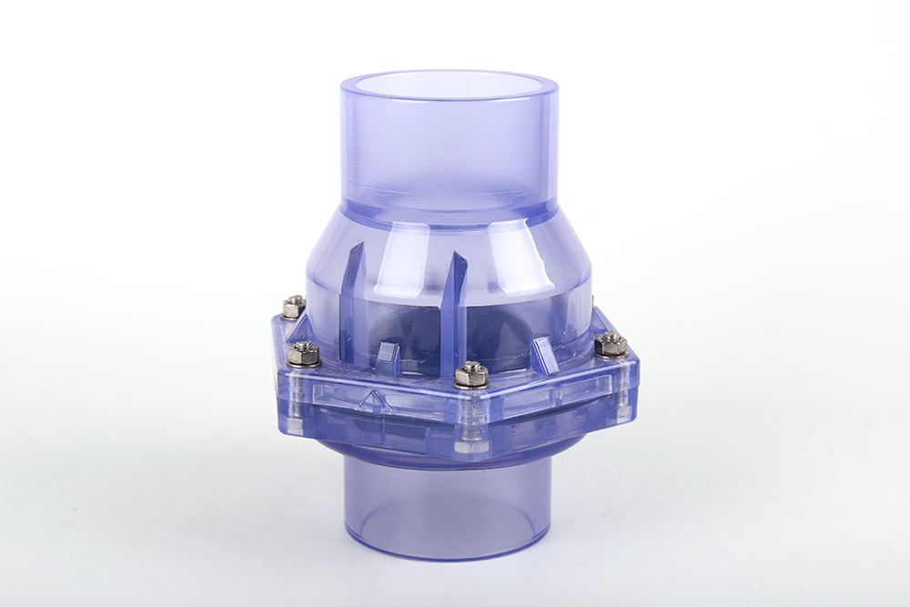 溆浦透明翻板式止回阀